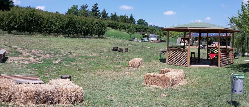 לינה וארוחת בוקר צ'זנה Agriturismo Perugini מראה חיצוני תמונה