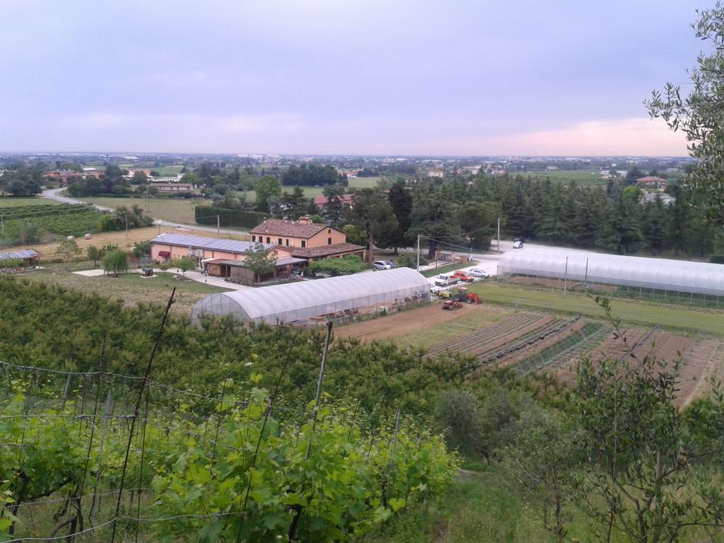 לינה וארוחת בוקר צ'זנה Agriturismo Perugini מראה חיצוני תמונה