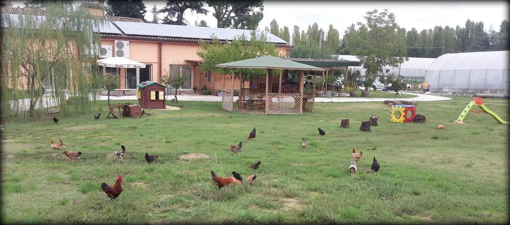 לינה וארוחת בוקר צ'זנה Agriturismo Perugini מראה חיצוני תמונה